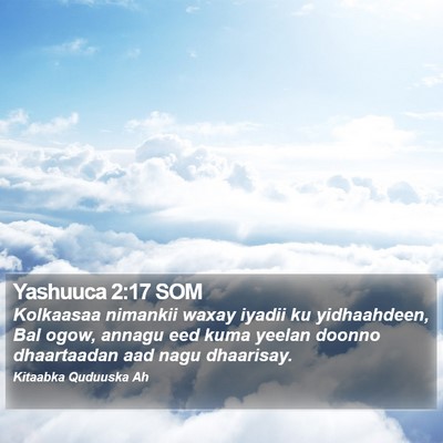 Yashuuca 2:17 SOM Bible Verse Image