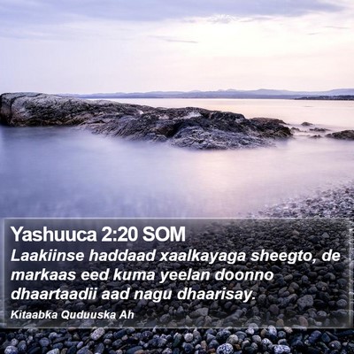 Yashuuca 2:20 SOM Bible Verse Image