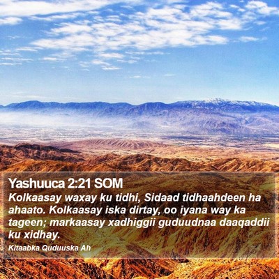 Yashuuca 2:21 SOM Bible Verse Image
