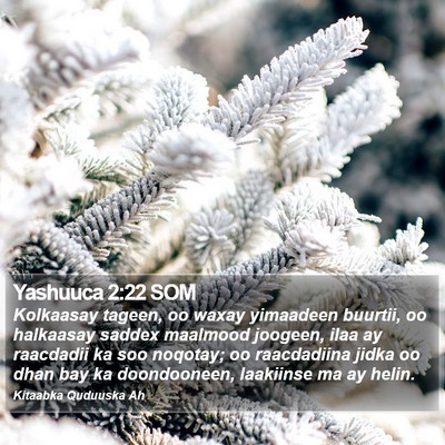 Yashuuca 2:22 SOM Bible Verse Image