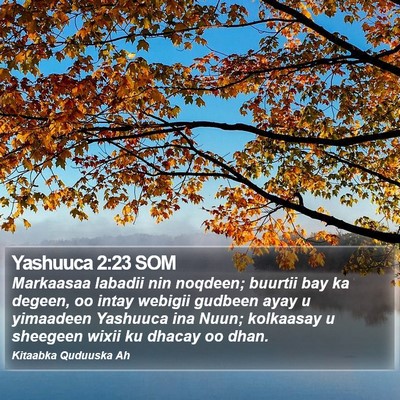 Yashuuca 2:23 SOM Bible Verse Image