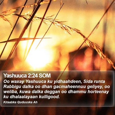 Yashuuca 2:24 SOM Bible Verse Image