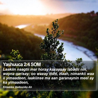 Yashuuca 2:4 SOM Bible Verse Image