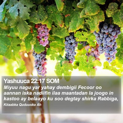 Yashuuca 22:17 SOM Bible Verse Image