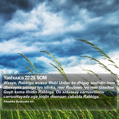 Yashuuca 22:25 SOM Bible Verse Image