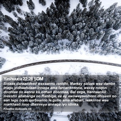 Yashuuca 22:28 SOM Bible Verse Image