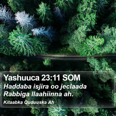 Yashuuca 23:11 SOM Bible Verse Image