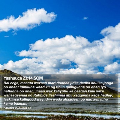 Yashuuca 23:14 SOM Bible Verse Image