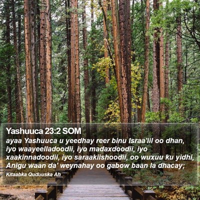 Yashuuca 23:2 SOM Bible Verse Image