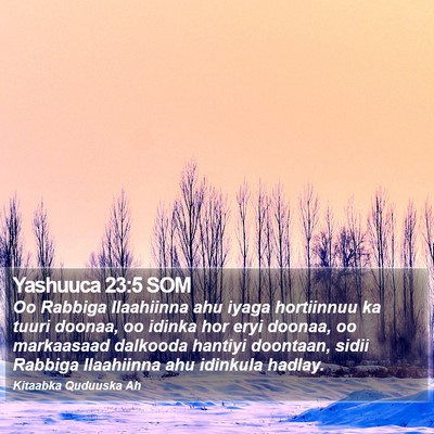 Yashuuca 23:5 SOM Bible Verse Image