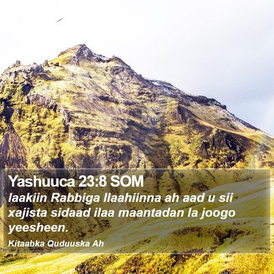 Yashuuca 23:8 SOM Bible Verse Image