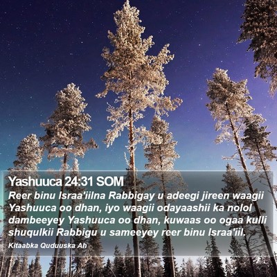 Yashuuca 24:31 SOM Bible Verse Image