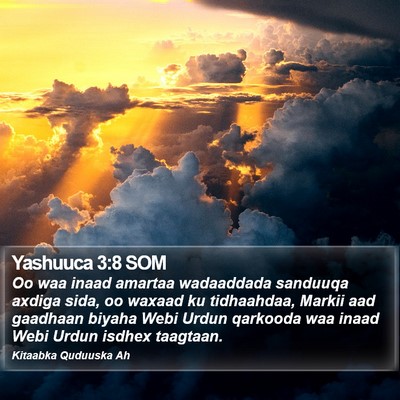 Yashuuca 3:8 SOM Bible Verse Image