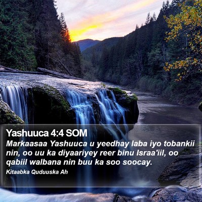 Yashuuca 4:4 SOM Bible Verse Image