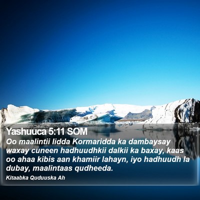 Yashuuca 5:11 SOM Bible Verse Image