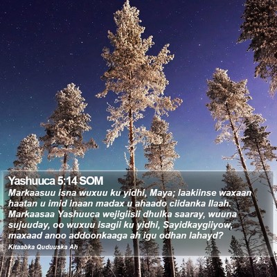 Yashuuca 5:14 SOM Bible Verse Image