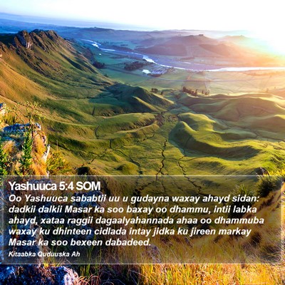 Yashuuca 5:4 SOM Bible Verse Image