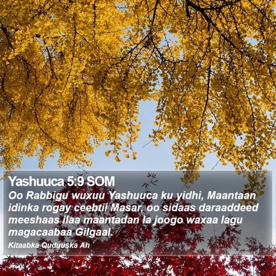 Yashuuca 5:9 SOM Bible Verse Image