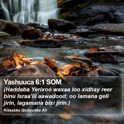 Yashuuca 6:1 SOM Bible Verse Image