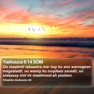 Yashuuca 6:14 SOM Bible Verse Image