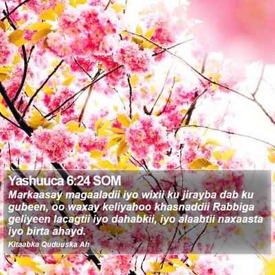 Yashuuca 6:24 SOM Bible Verse Image