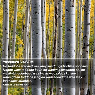 Yashuuca 6:4 SOM Bible Verse Image