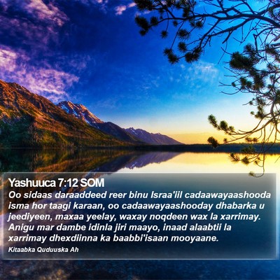 Yashuuca 7:12 SOM Bible Verse Image