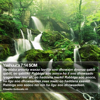 Yashuuca 7:14 SOM Bible Verse Image