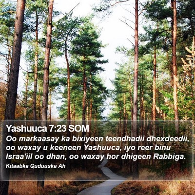 Yashuuca 7:23 SOM Bible Verse Image