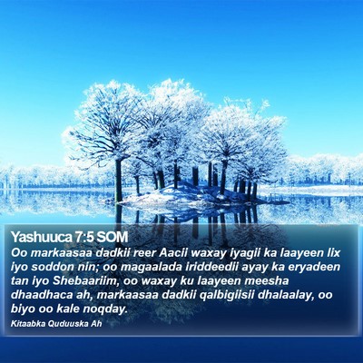 Yashuuca 7:5 SOM Bible Verse Image