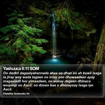 Yashuuca 8:11 SOM Bible Verse Image