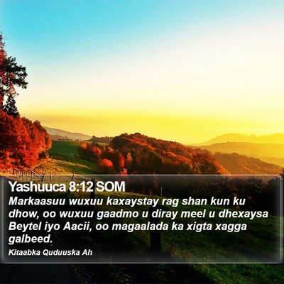 Yashuuca 8:12 SOM Bible Verse Image
