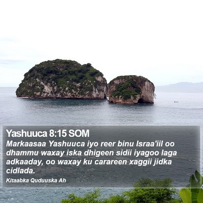 Yashuuca 8:15 SOM Bible Verse Image