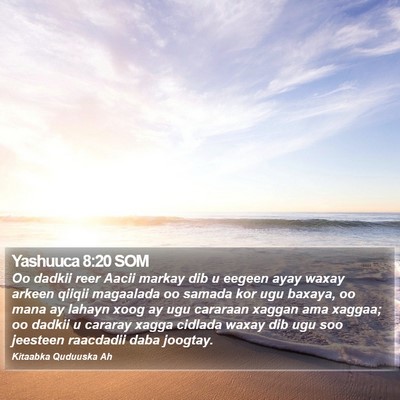 Yashuuca 8:20 SOM Bible Verse Image