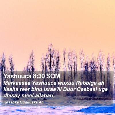 Yashuuca 8:30 SOM Bible Verse Image