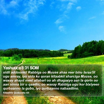 Yashuuca 8:31 SOM Bible Verse Image
