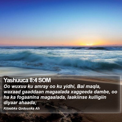 Yashuuca 8:4 SOM Bible Verse Image