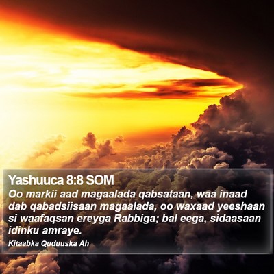 Yashuuca 8:8 SOM Bible Verse Image