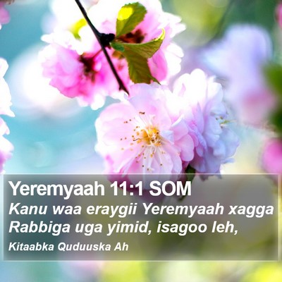 Yeremyaah 11:1 SOM Bible Verse Image