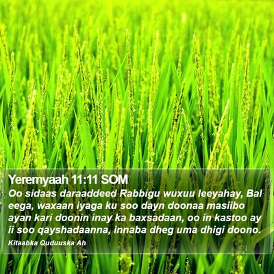 Yeremyaah 11:11 SOM Bible Verse Image