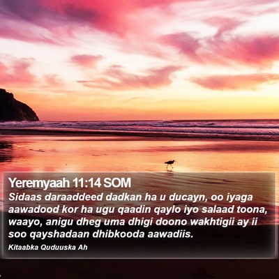 Yeremyaah 11:14 SOM Bible Verse Image