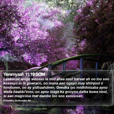 Yeremyaah 11:19 SOM Bible Verse Image