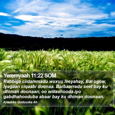 Yeremyaah 11:22 SOM Bible Verse Image