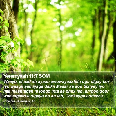 Yeremyaah 11:7 SOM Bible Verse Image