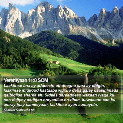Yeremyaah 11:8 SOM Bible Verse Image