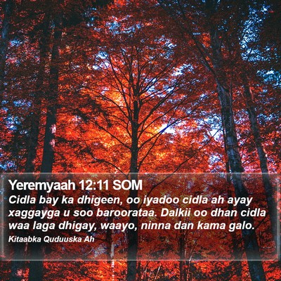 Yeremyaah 12:11 SOM Bible Verse Image