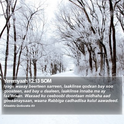 Yeremyaah 12:13 SOM Bible Verse Image
