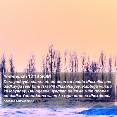 Yeremyaah 12:14 SOM Bible Verse Image