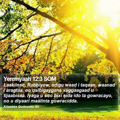 Yeremyaah 12:3 SOM Bible Verse Image