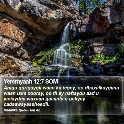 Yeremyaah 12:7 SOM Bible Verse Image